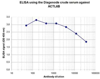 ELISA: ACTL6B Antibody [NBP3-18635] - Figure 1. Determination of the titer To determine the titer, an ELISA was performed using a serial dilution of the antibody directed against ACTL6B . The plates were coated with the peptide used for immunization of the rabbit. By plotting the absorbance against the antibody dilution (Figure 1), the titer of the antibody was estimated to be 1:76,000